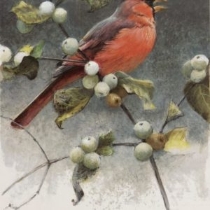 Robert Bateman-Cardinal and Snowberries