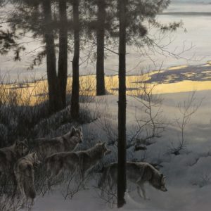 Robert Bateman-Edge of Night Timber Wolves