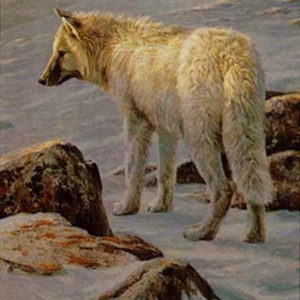 Robert Bateman-arctic evening white wolf