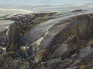 Robert Bateman-arctic landscape