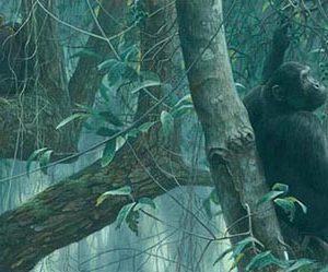 Robert Bateman-at mahale chimpanzees