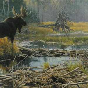 Robert Bateman-autumn overture moose