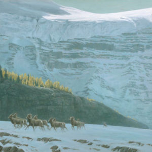 Robert Bateman-bighorn sheep herd