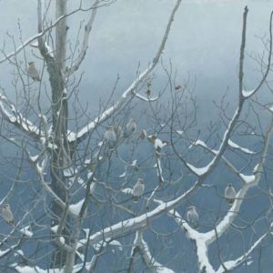 Robert Bateman-bohemian waxwings and poplar