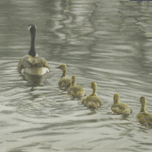 Robert Bateman-canada goose and goslings