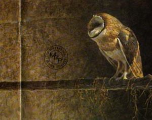 Robert Bateman-catching the light barn owl