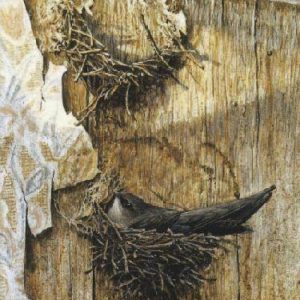 Robert Bateman-chimney swift on nest