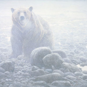 Robert Bateman-end of season grizzly