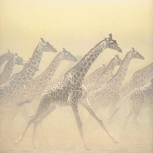 Robert Bateman-galloping herd girrafes