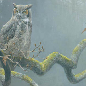 Robert Bateman-in the oak great horned owl