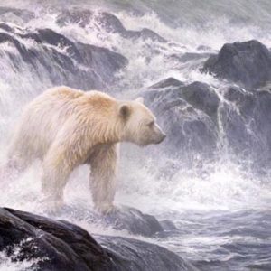 Robert Bateman-salmon watch spirit bear