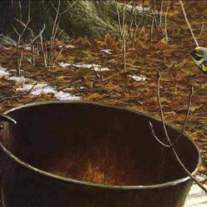 Robert Bateman-sap bucket myrtle warbler