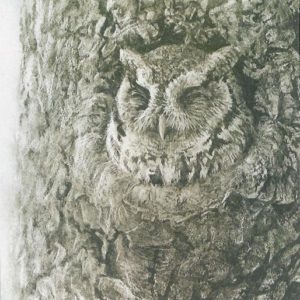 Robert Bateman-screech owl in apple tree