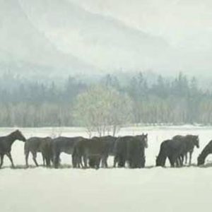 Robert Bateman-winter gathering horseherd
