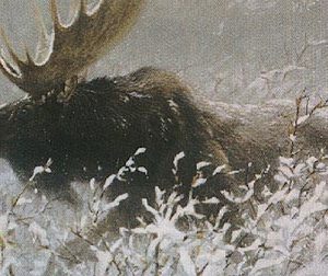 Robert Bateman-winter run bull moose