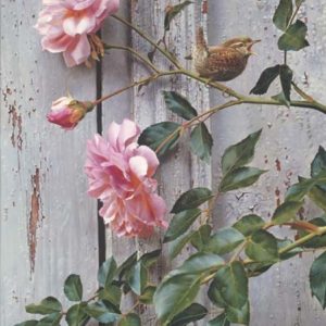 carl brenders-summer roses winter wren