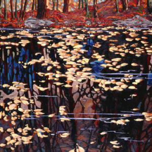 Dominik modlinski-autumn reflections