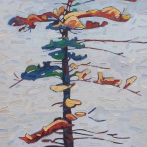 David Grieve-Wolf Lake Pine